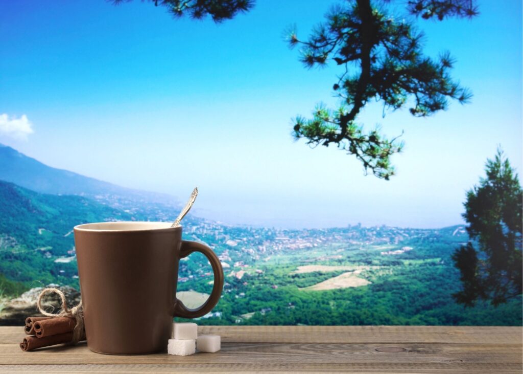 green mountain coffee reviews