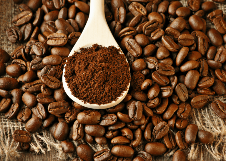 KRUPS Coffee Grinder F203 Review Coffee Belly